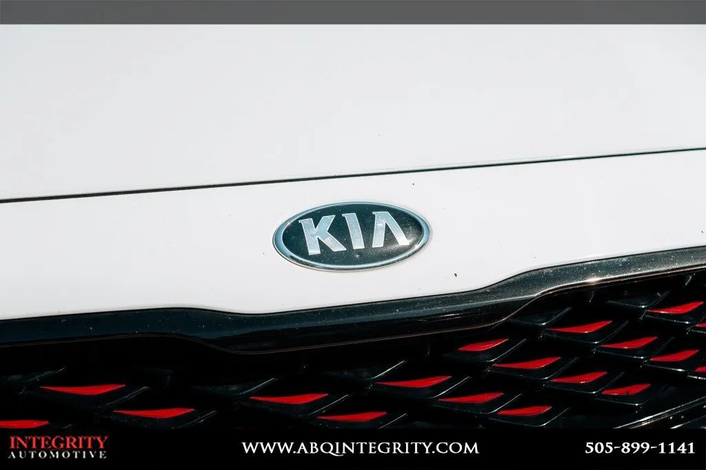 Kia Forte photo 10