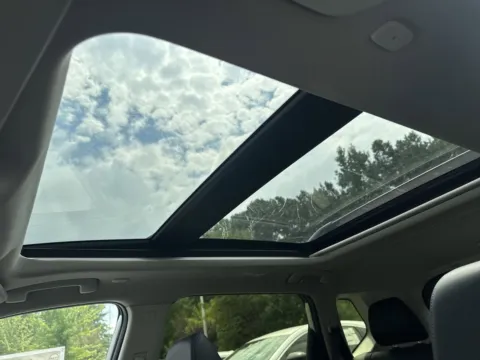 More photos of 2025 Nissan Rogue Platinum at ALM Nissan Newnan, GA