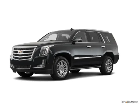 Black 2019 Cadillac Escalade Luxury for sale in Gurnee, IL