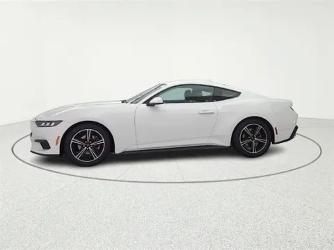 More photos of 2024 Ford Mustang EcoBoost at CarWise Gurnee, IL