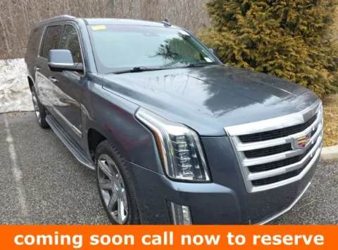 Gray 2019 Cadillac Escalade ESV Luxury for sale in Gurnee, IL