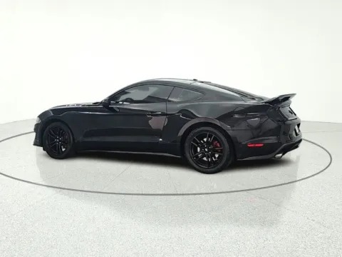 More photos of 2019 Ford Mustang EcoBoost at CarWise Gurnee, IL