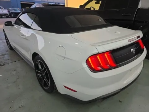 Photos of 2019 Ford Mustang EcoBoost Premium for sale in Gurnee, IL at CarWise Gurnee