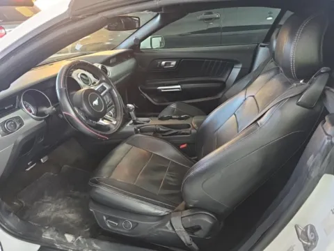 Another view of 2019 Ford Mustang EcoBoost Premium for sale in Gurnee, IL at CarWise Gurnee