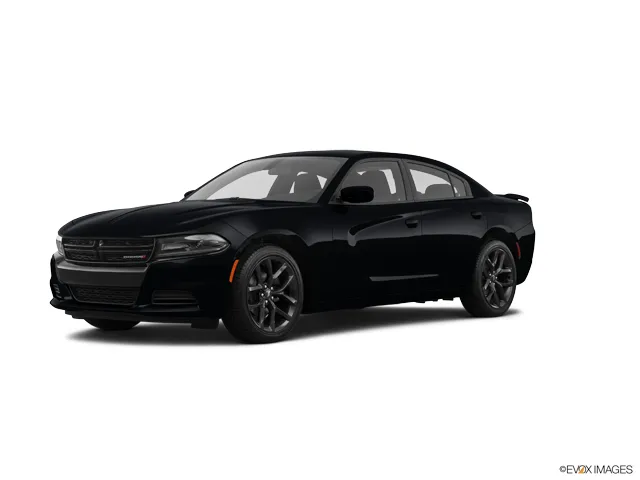 2021 Dodge Charger R/T's photo