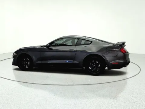 More photos of 2019 Ford Mustang EcoBoost at CarWise Gurnee, IL