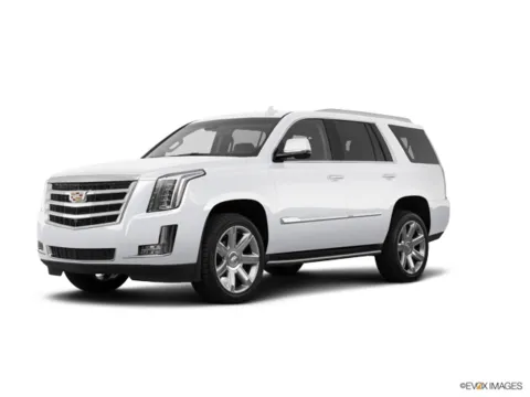 White 2018 Cadillac Escalade Luxury for sale in Gurnee, IL