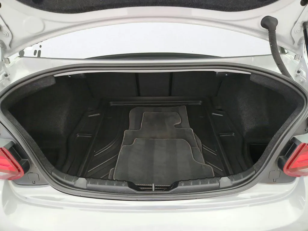2019 BMW M2 Coupe Base - Photo 29
