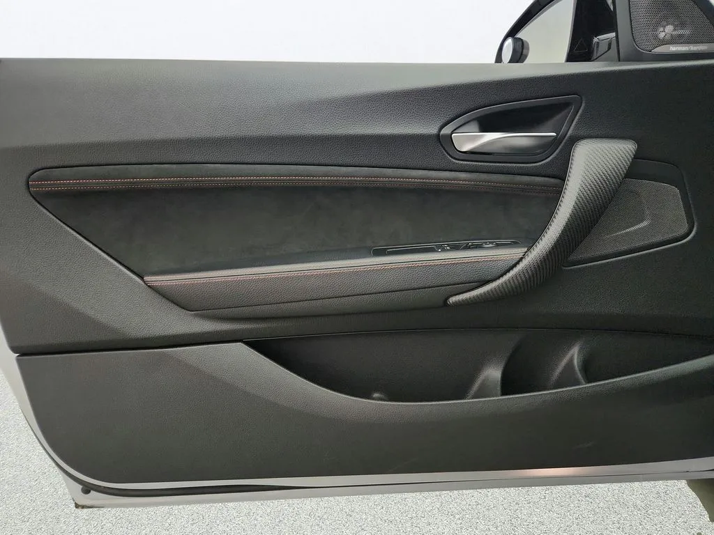 2019 BMW M2 Coupe Base - Photo 22