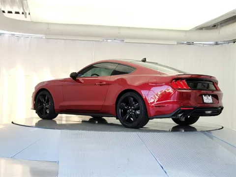 More photos of 2022 Ford Mustang EcoBoost at CarWise Gurnee, IL