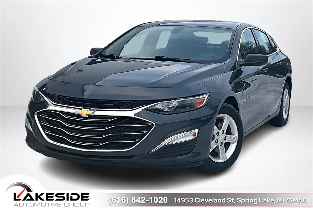 2019 Chevrolet Malibu LS for sale in Spring Lake, MI