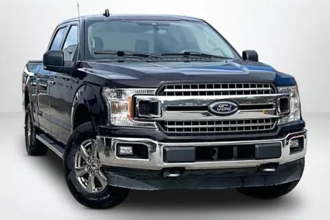 Another view of 2019 Ford F-150 XLT for sale in Spring Lake, MI at Lakeside Automotive Group