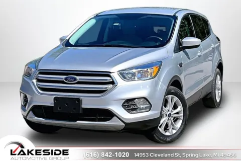 Silver 2019 Ford Escape SE for sale in Spring Lake, MI