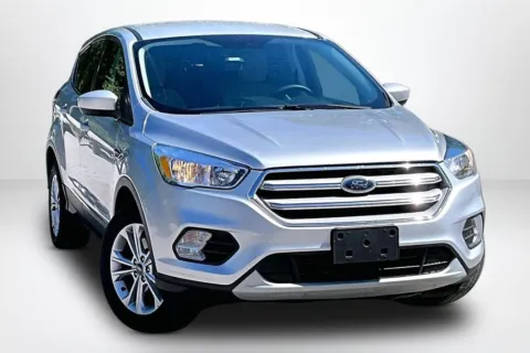Silver 2019 Ford Escape SE for sale in Spring Lake, MI