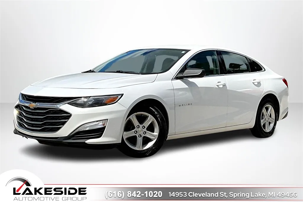 2019 Chevrolet Malibu LS for sale in Spring Lake, MI