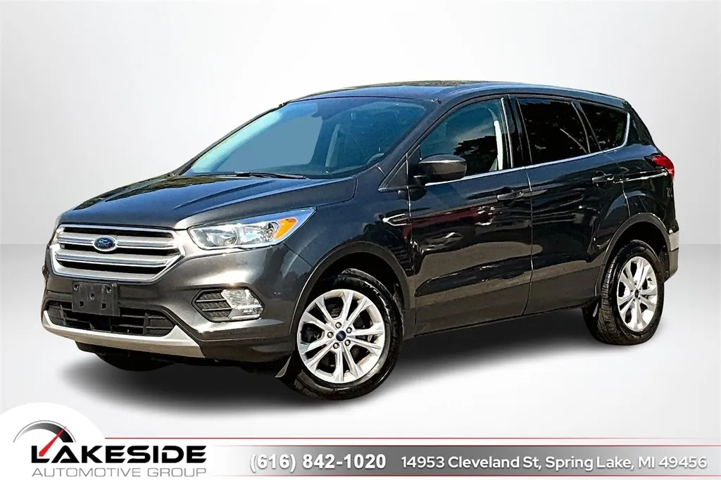 2019 Ford Escape SE for sale in Spring Lake, MI