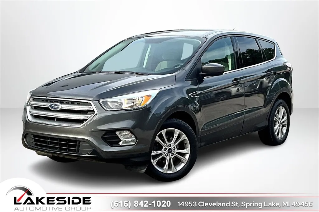 2017 Ford Escape SE for sale in Spring Lake, MI