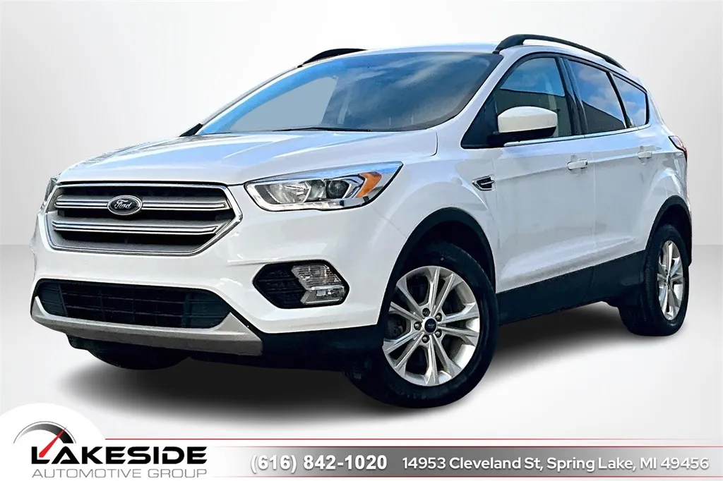 2019 Ford Escape SEL for sale in Spring Lake, MI