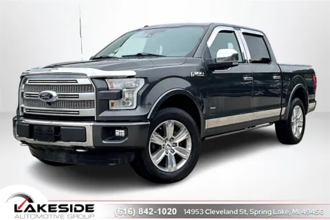 Gray 2016 Ford F-150 Platinum for sale in Spring Lake, MI