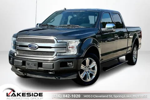 Gray 2018 Ford F-150 Platinum for sale in Spring Lake, MI