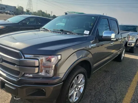 Gray 2018 Ford F-150 Platinum for sale in Spring Lake, MI