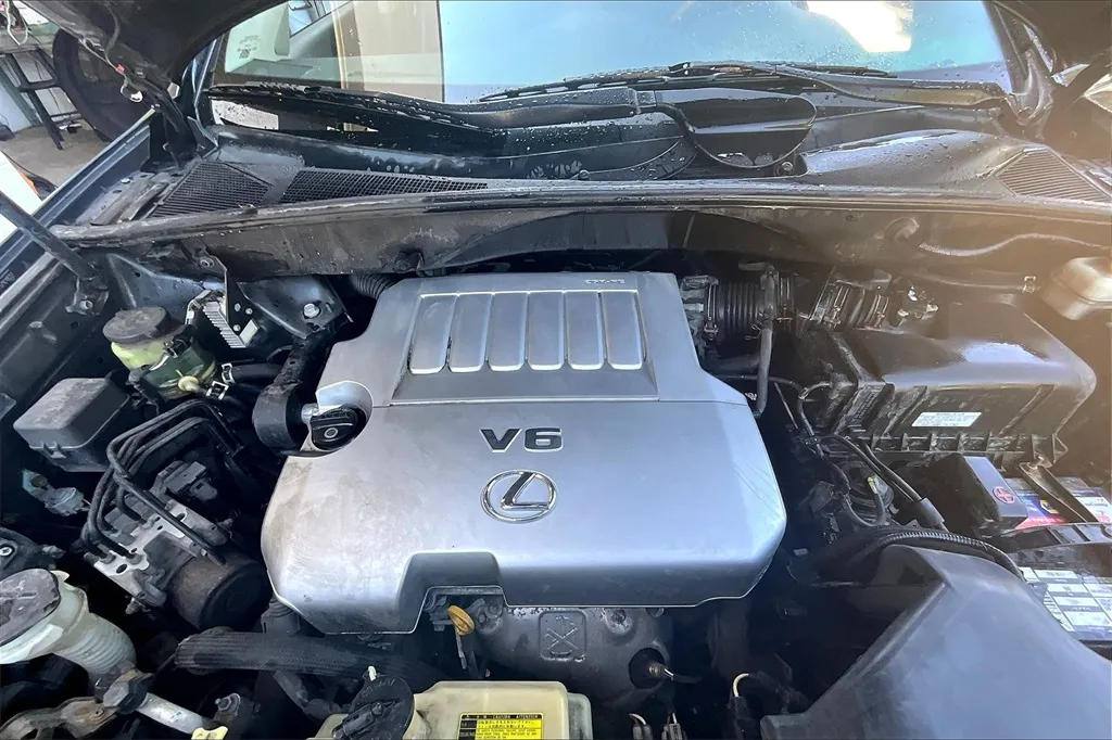 2009 Lexus RX 350 photo 20