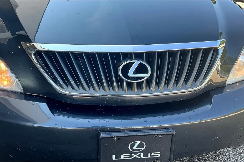 2009 Lexus RX 350 photo 21