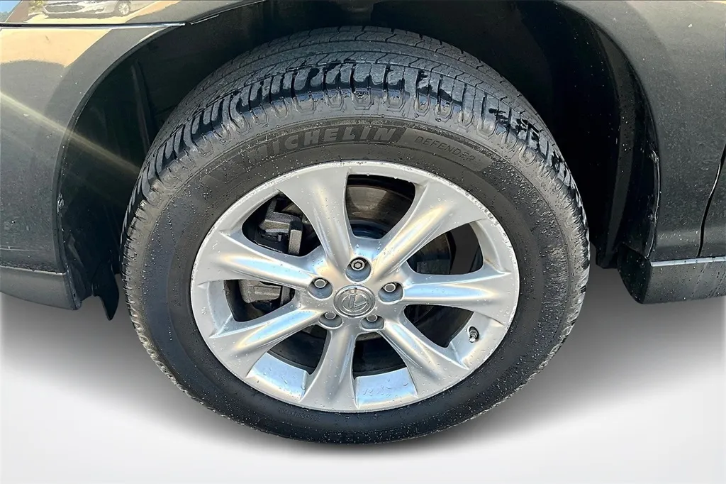 2009 Lexus RX 350 photo 31