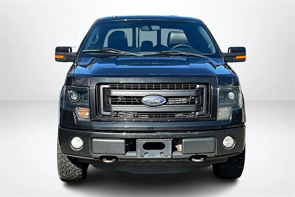 2014 Ford F-150 FX4 photo 11
