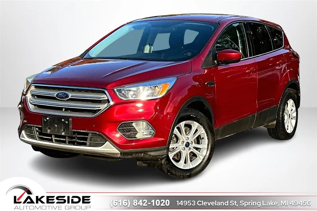 2019 Ford Escape SE for sale in Spring Lake, MI