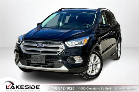 Black 2017 Ford Escape SE for sale in Spring Lake, MI