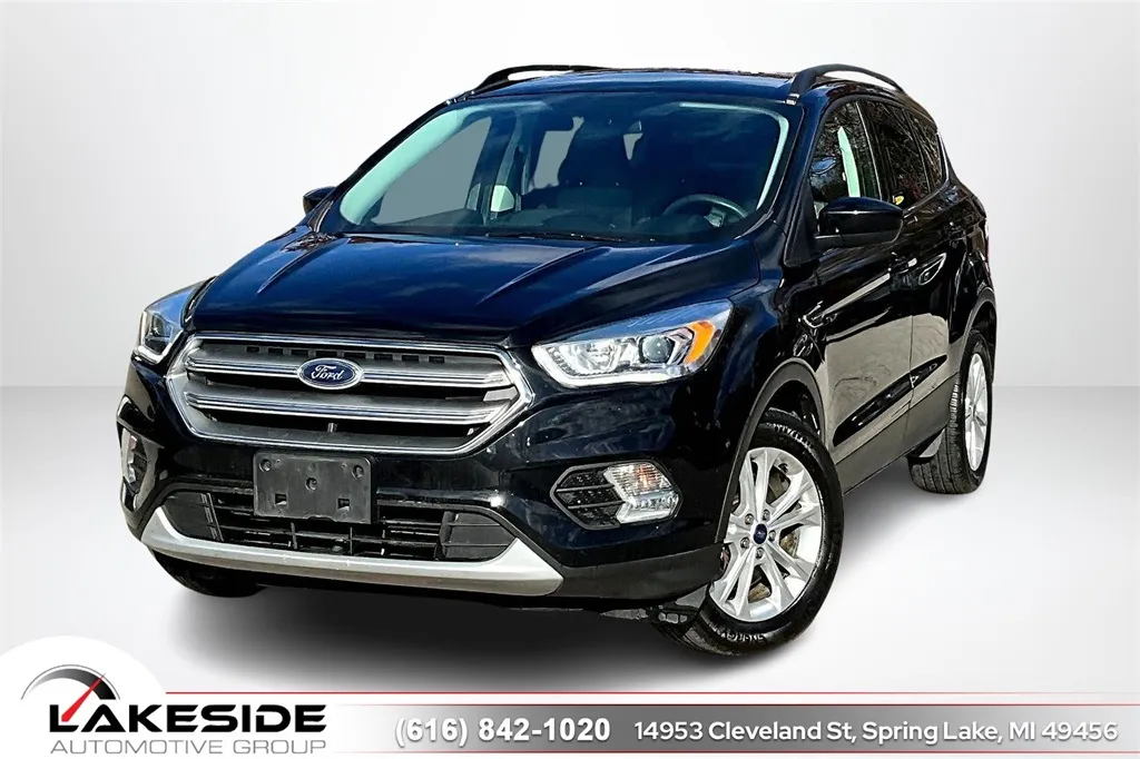 2017 Ford Escape SE for sale in Spring Lake, MI