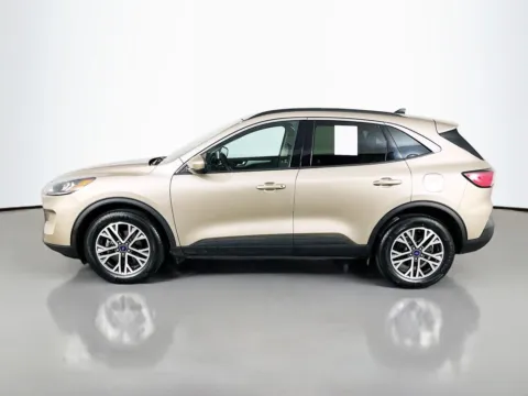 More photos of 2020 Ford Escape SEL at Clement Supercenter, MO