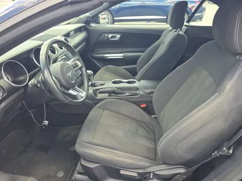 Another view of 2019 Ford Mustang EcoBoost for sale in St. Charles, MO at Clement Supercenter
