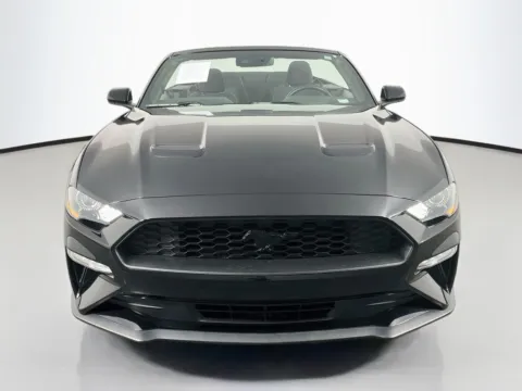 Photos of 2019 Ford Mustang EcoBoost for sale in St. Charles, MO at Clement Supercenter