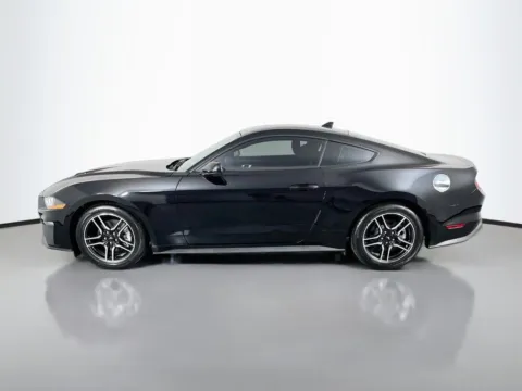 More photos of 2021 Ford Mustang EcoBoost at Clement Supercenter, MO