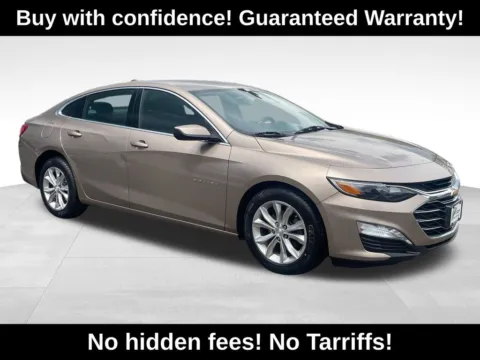 Beige 2019 Chevrolet Malibu LT for sale in Berlin, NJ