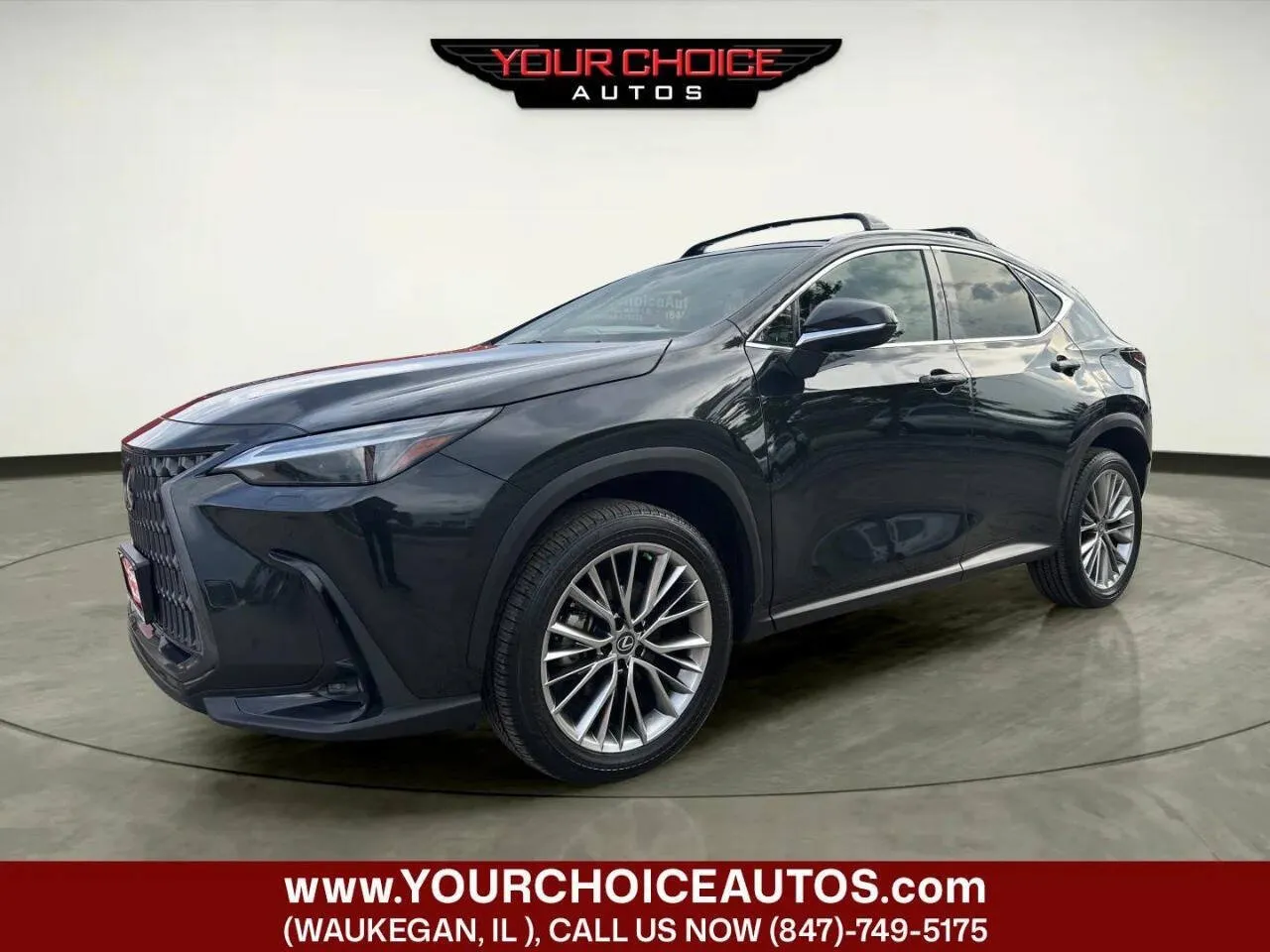 Black 2022 Lexus NX 350h Luxury for sale in Waukegan, IL