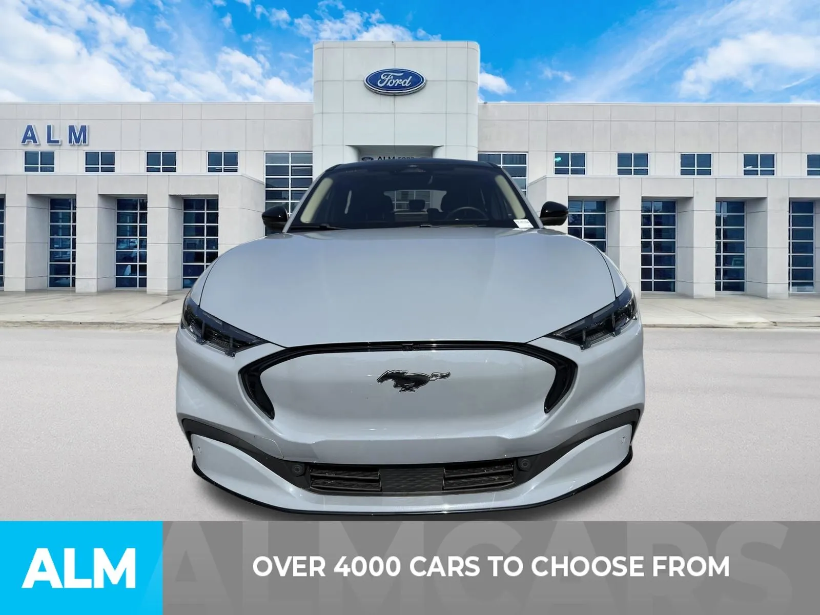 Used 2024 Ford Mustang Mach-E Premium RWD with VIN 3FMTK3R43RMA02233 for sale in Lumberton, NC