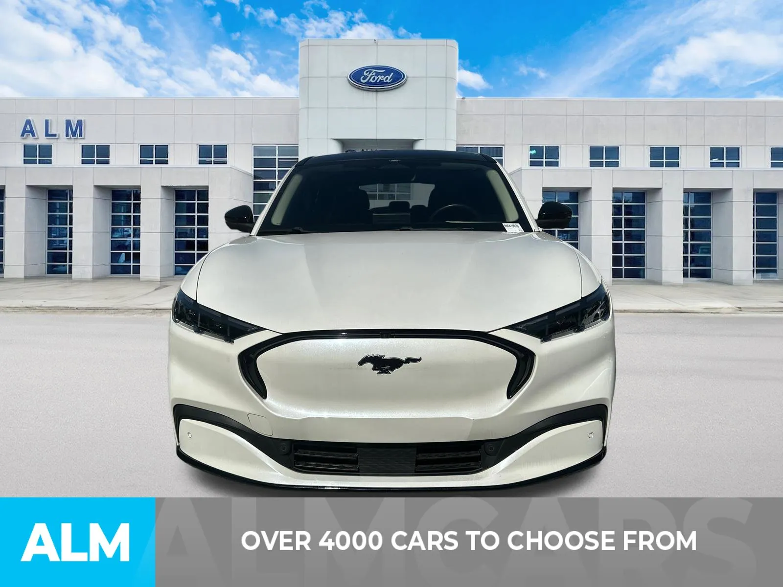 Used 2024 Ford Mustang Mach-E Premium RWD with VIN 3FMTK3R75RMA19030 for sale in Lumberton, NC