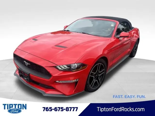 Red 2019 Ford Mustang EcoBoost Premium for sale in Tipton, IN