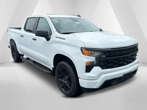 White 2024 Chevrolet Silverado 1500 Custom for sale in Waverly, OH