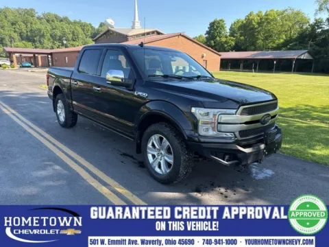 Black 2019 Ford F-150 Platinum for sale in Waverly, OH