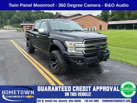 Black 2019 Ford F-150 Platinum for sale in Waverly, OH