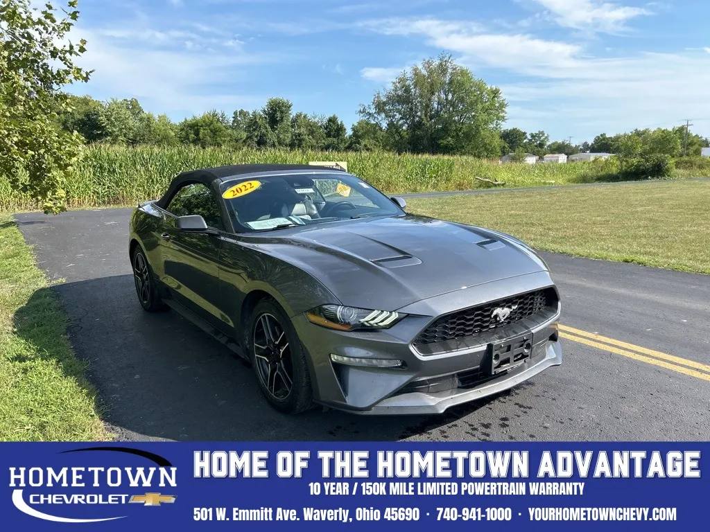 ★22WINTER新作★GROVE★BOWL MUSTANG New Ford Mustang for Sale in Grove City, OH - Autotrader