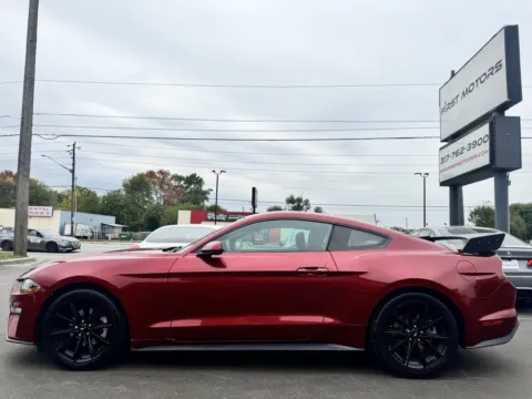 More photos of 2019 Ford Mustang EcoBoost at F1rst Motors, IN