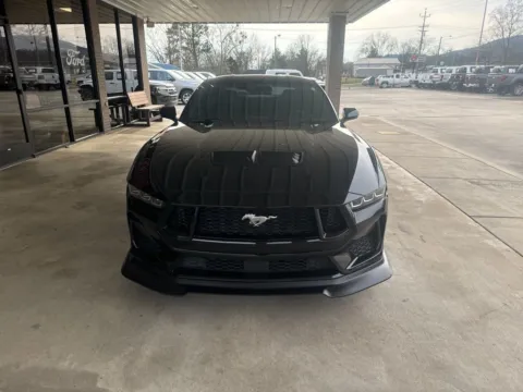 Photos of 2024 Ford Mustang GT Premium for sale in South Pittsburg, TN at Moss Motor Company