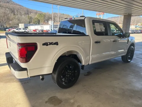 More photos of 2024 Ford F-150 STX at Moss Motor Company, TN