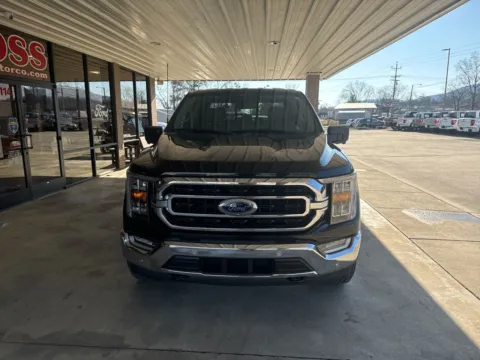 Photos of 2022 Ford F-150 XLT for sale in South Pittsburg, TN at Moss Motor Company