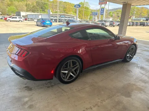 More photos of 2024 Ford Mustang EcoBoost at Moss Motor Company, TN